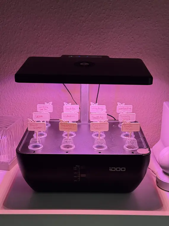 Station 3 mit Ghost Pepper, Carolina Reaper, Purple Tiger und weiteren Sorten